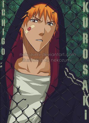 nice_ichigo.jpeg